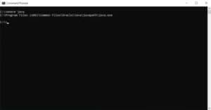 Fix: Unable To Install Java There Are Errors In The Following Switches ...