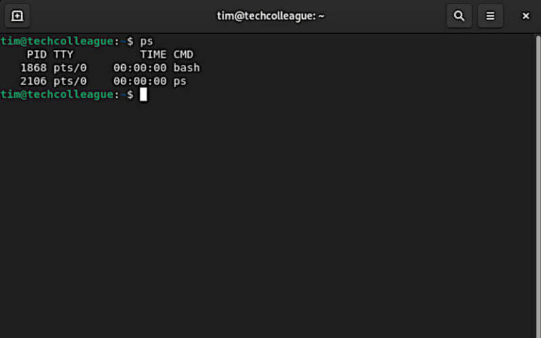 Linux ps Command - TechColleague